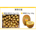 Zespri紐西蘭有機陽光金圓頭奇異果36S(小)59顆/箱【超值原裝箱．一箱免運】 