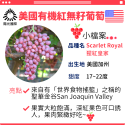 美國空運有機紅無籽葡萄【一盒免運．團購最高省$2601】