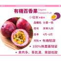有機百香果 【來自屏東．品質最優】