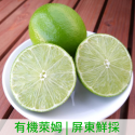 有機萊姆(有機無籽檸檬)【來自屏東/南投．外銷等級】