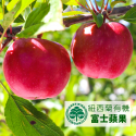 紐西蘭有機蘋果富士蘋果【鮮採免運費．有機無上蠟】