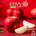 美國有機Envy愛妃蘋果【送禮用大蘋果供應中．夢幻逸品．有機無上蠟】