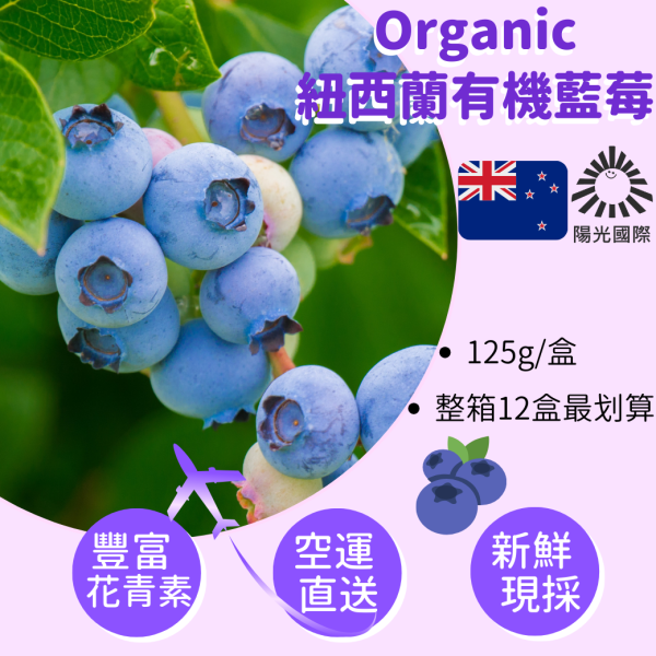 【預購】紐西蘭空運有機藍莓125g盒裝【一盒免運．團購省$5300】