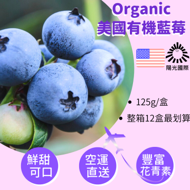 美國空運有機藍莓125g盒裝【一盒免運．...