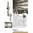 有機白木耳(50g/包)【經SGS檢驗100%無農藥.無二氧化硫】